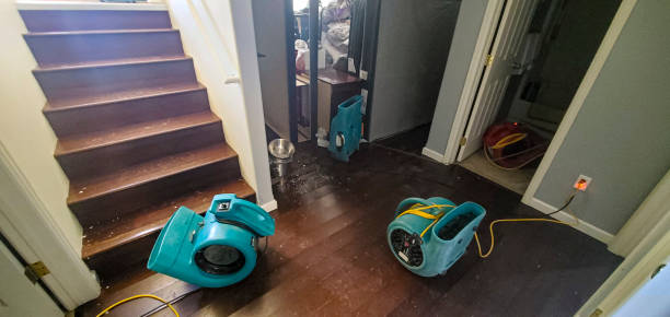 Best Water damage mitigation services  in Random Lake, WI
