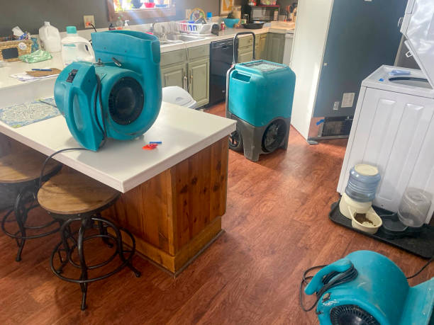 Best Water damage restoration services  in Random Lake, WI