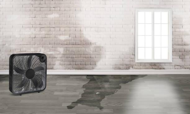 Best Water damage restoration near me  in Random Lake, WI