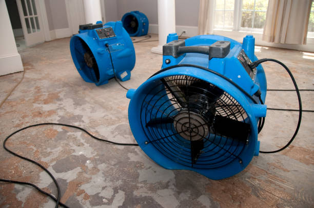 Best Water damage cleanup near me  in Random Lake, WI
