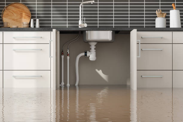 Best Water damage restoration near me  in Random Lake, WI